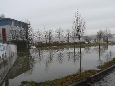 Foto des Albums: Hochwasser Friedeburg, 14.01.2011