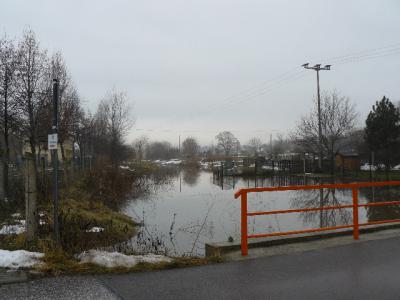 Foto des Albums: Hochwasser Friedeburg, 14.01.2011