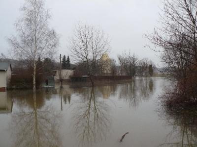 Foto des Albums: Hochwasser Friedeburg, 14.01.2011