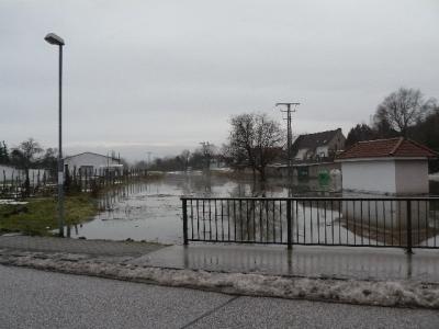 Foto des Albums: Hochwasser Friedeburg, 14.01.2011