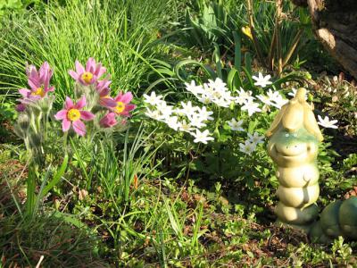 Foto des Albums: Frühlings-Impressionen