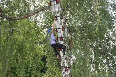 Foto des Albums: 4. Kinder- und Jugendsportfest in Wittstock (29.08.2013)