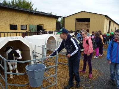 Foto des Albums: LANDaktiv