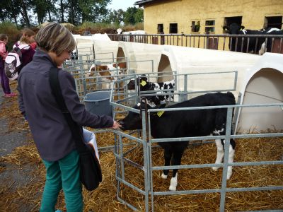 Foto des Albums: LANDaktiv