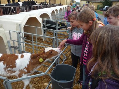 Foto des Albums: LANDaktiv