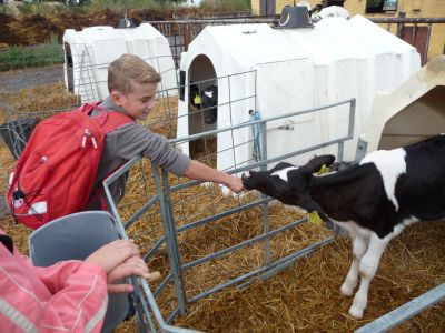 Foto des Albums: LANDaktiv