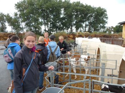 Foto des Albums: LANDaktiv