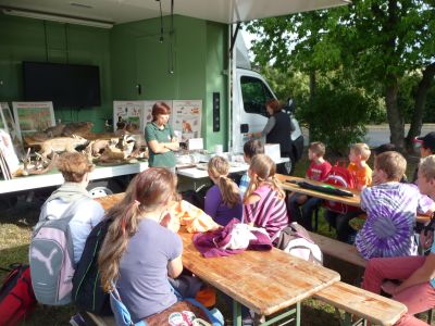 Foto des Albums: LANDaktiv