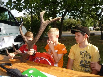 Foto des Albums: LANDaktiv