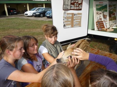 Foto des Albums: LANDaktiv