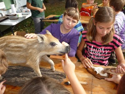Foto des Albums: LANDaktiv