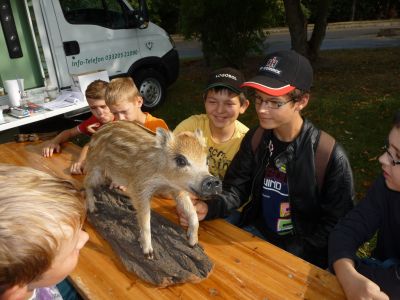 Foto des Albums: LANDaktiv