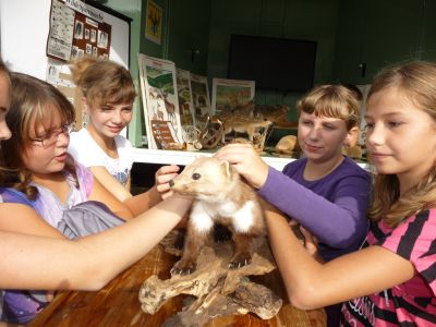 Foto des Albums: LANDaktiv