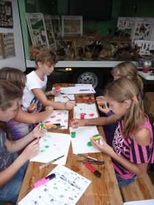 Foto des Albums: LANDaktiv