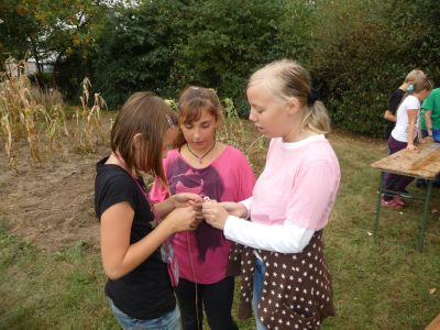 Foto des Albums: LANDaktiv