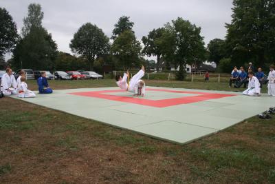 Foto des Albums: Sportsonntag am 18.08.2013