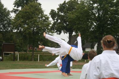Foto des Albums: Sportsonntag am 18.08.2013
