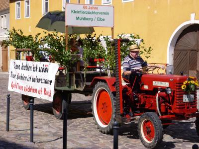 Foto des Albums: Umzug zum Kinder- und Heimatfest 2013