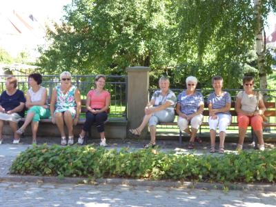 Foto des Albums: Umzug zum Kinder- und Heimatfest 2013