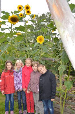 Foto des Albums: Getreide-Einheit der 3a!