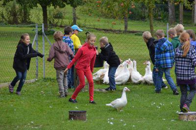 Foto des Albums: Getreide-Einheit der 3a!