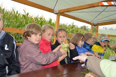 Foto des Albums: Getreide-Einheit der 3a!