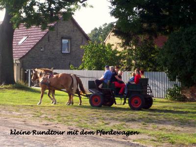 Foto des Albums: Kinderfest am 14. September