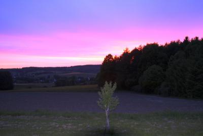 Foto des Albums: Camp West 2013