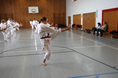Foto des Albums: Lehrgang mit Tomie Ochi in Gladbeck