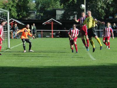 Foto des Albums: HSV - Zehlendorf