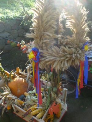 Foto des Albums: Erntedankfest