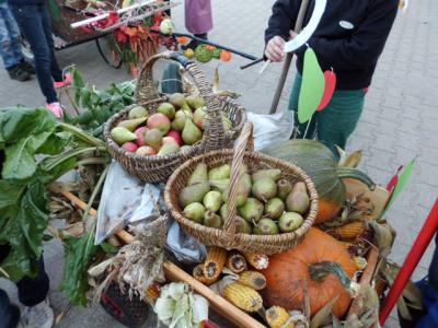 Foto des Albums: Erntedankfest