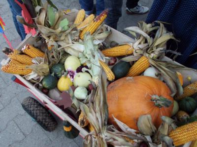 Foto des Albums: Erntedankfest