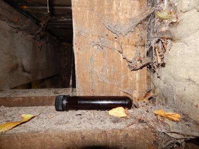 Foto des Albums: AGiL - Geocaching-Vormittag