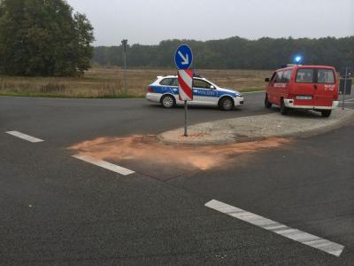 Foto des Albums: Einsatz 157/2013 - Verkehrsunfall