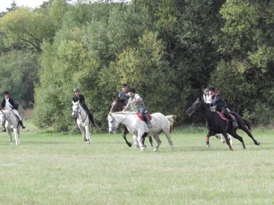 Foto des Albums: Fuchsjagd 2013 (05. 10. 2013)