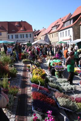 Foto des Albums: Kartoffelmarkt 2013