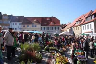 Foto des Albums: Kartoffelmarkt 2013