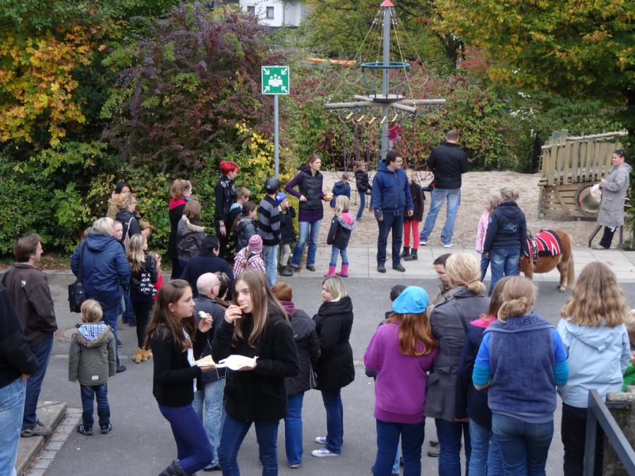 Bild der Galerie