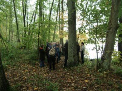 Foto des Albums: Wanderung rund um den Herrensee (13. 10. 2013)