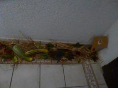 Foto des Albums: Erntedankfrühstück
