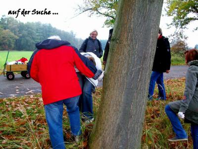 Foto des Albums: Bosselnachmittag der Gymnastikdamen