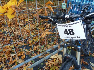 ...im goldenen Herbst  (Bild vergr&ouml;&szlig;ern)