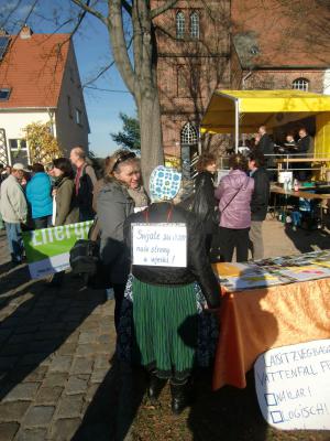 Foto des Albums: Bürgerinitiative "Grünes Tor Rehfelde" an der Seite von Atterwasch (01. 11. 2013)