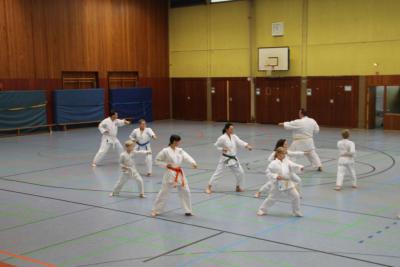 Foto des Albums: Lehrgang mit Sensei Schlatt