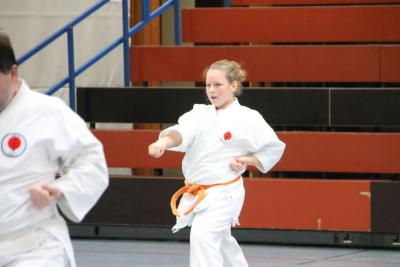 Foto des Albums: Lehrgang mit Sensei Schlatt