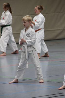 Foto des Albums: Lehrgang mit Sensei Schlatt