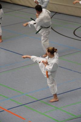 Foto des Albums: Lehrgang mit Sensei Schlatt