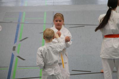 Foto des Albums: Lehrgang mit Sensei Schlatt