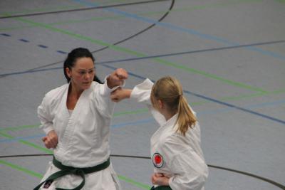 Foto des Albums: Lehrgang mit Sensei Schlatt